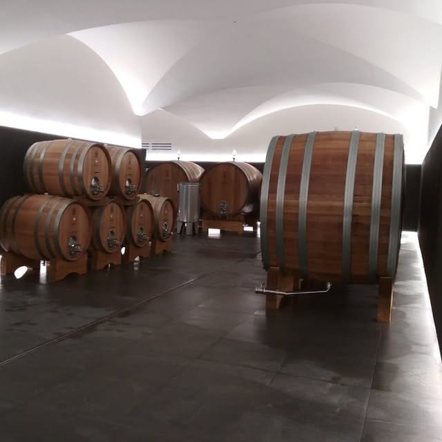 292282735_797819847895427_914023687047959961_n.